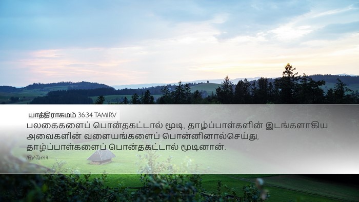 யாத்திராகமம் 36:34 TAMIRV Bible Verse Image