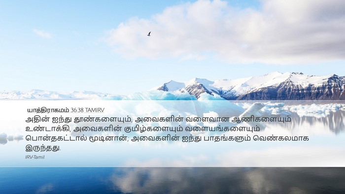 யாத்திராகமம் 36:38 TAMIRV Bible Verse Image