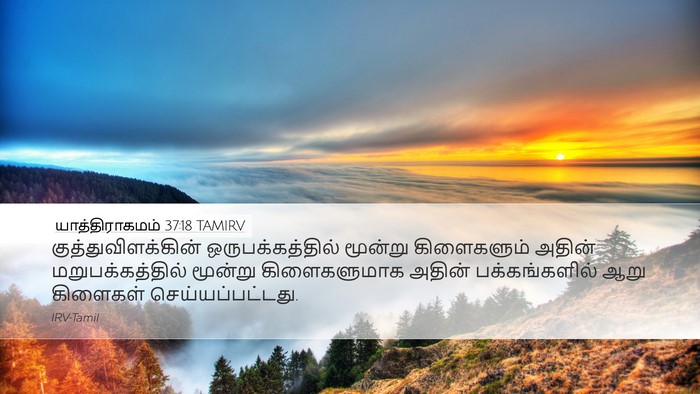 யாத்திராகமம் 37:18 TAMIRV Desktop Wallpaper - குத்துவிளக்கின் - Desktop Bible Verse Wallpaper