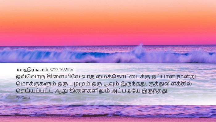 யாத்திராகமம் 37:19 TAMIRV Desktop Wallpaper - ஒவ்வொரு கிளையிலே - Desktop Bible Verse Wallpaper