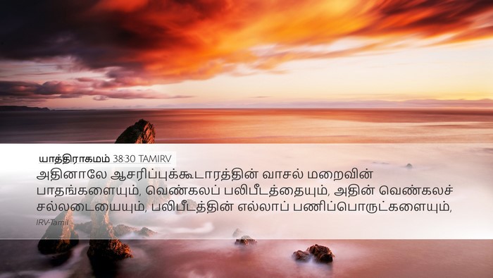 யாத்திராகமம் 38:30 TAMIRV Bible Verse Image