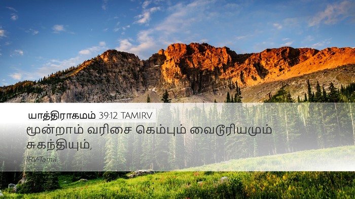 யாத்திராகமம் 39:12 TAMIRV Desktop Wallpaper - மூன்றாம் வரிசை - Desktop Bible Verse Wallpaper