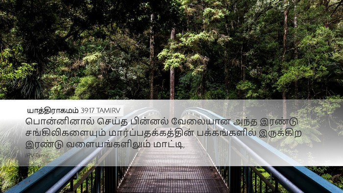 யாத்திராகமம் 39:17 TAMIRV Desktop Wallpaper - பொன்னினால் செய்த - Desktop Bible Verse Wallpaper