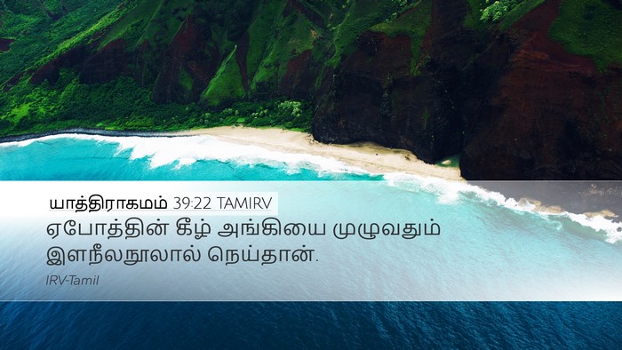 யாத்திராகமம் 39:22 TAMIRV Bible Verse Image