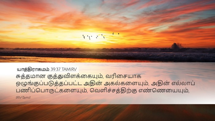 யாத்திராகமம் 39:37 TAMIRV Bible Verse Image
