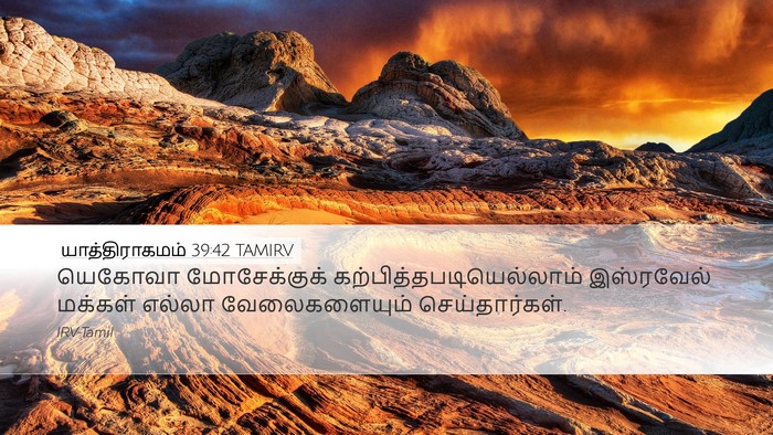 யாத்திராகமம் 39:42 TAMIRV Bible Verse Image