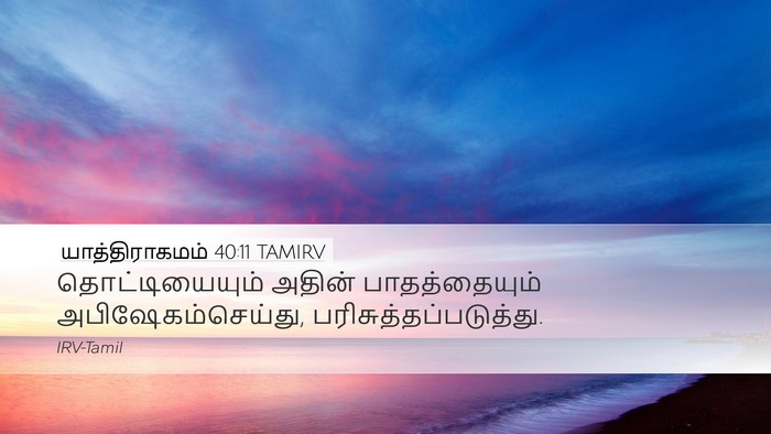 யாத்திராகமம் 40:11 TAMIRV Desktop Wallpaper - தொட்டியையும் - Desktop Bible Verse Wallpaper