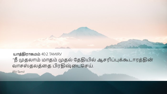 யாத்திராகமம் 40:2 TAMIRV Bible Verse Image