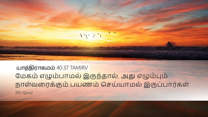 யாத்திராகமம் 40:37 TAMIRV Desktop Wallpaper - மேகம் எழும்பாமல் - Desktop Bible Verse Wallpaper