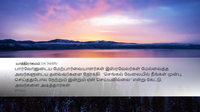யாத்திராகமம் 5:14 TAMIRV Bible Verse Image