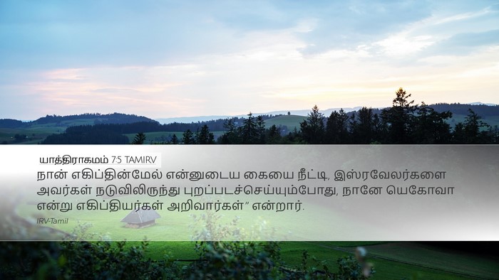 யாத்திராகமம் 7:5 TAMIRV Bible Verse Image