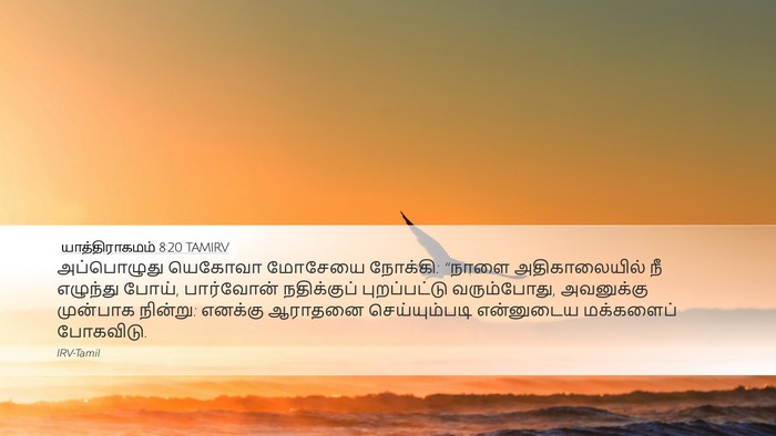 யாத்திராகமம் 8:20 TAMIRV Bible Verse Image