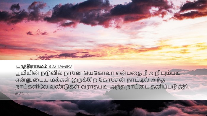 யாத்திராகமம் 8:22 TAMIRV Bible Verse Image
