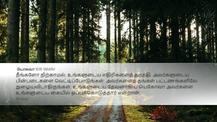 யோசுவா 10:19 TAMIRV Bible Verse Image