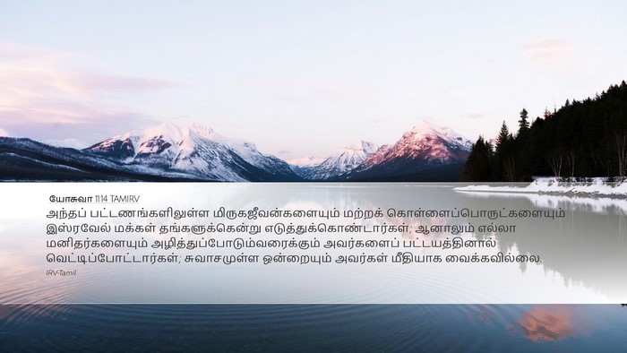 யோசுவா 11:14 TAMIRV Bible Verse Image