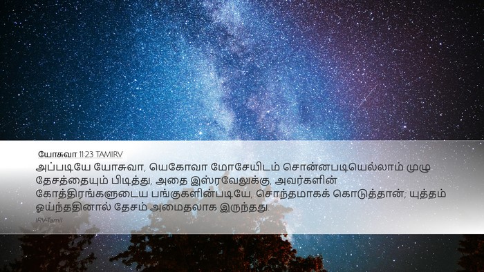 யோசுவா 11:23 TAMIRV Bible Verse Image