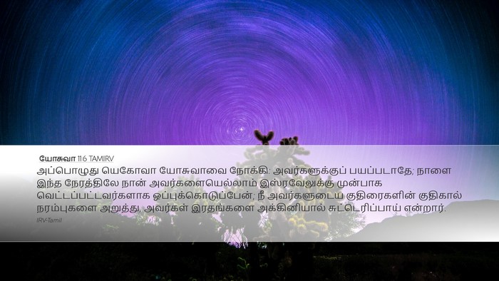 யோசுவா 11:6 TAMIRV Bible Verse Image