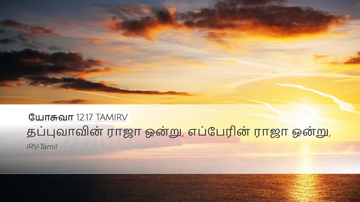 யோசுவா 12:17 TAMIRV Bible Verse Image