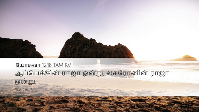 யோசுவா 12:18 TAMIRV Desktop Wallpaper - ஆப்பெக்கின் ராஜா - Desktop Bible Verse Wallpaper