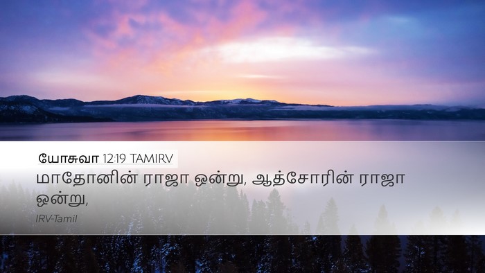 யோசுவா 12:19 TAMIRV Bible Verse Image