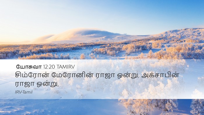 யோசுவா 12:20 TAMIRV Bible Verse Image