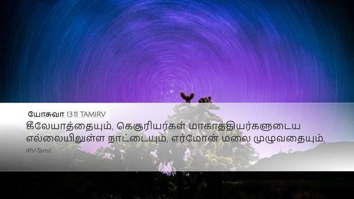 யோசுவா 13:11 TAMIRV Bible Verse Image