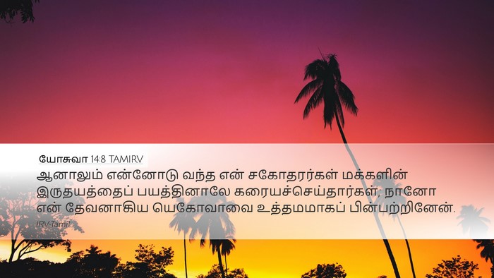 யோசுவா 14:8 TAMIRV Bible Verse Image