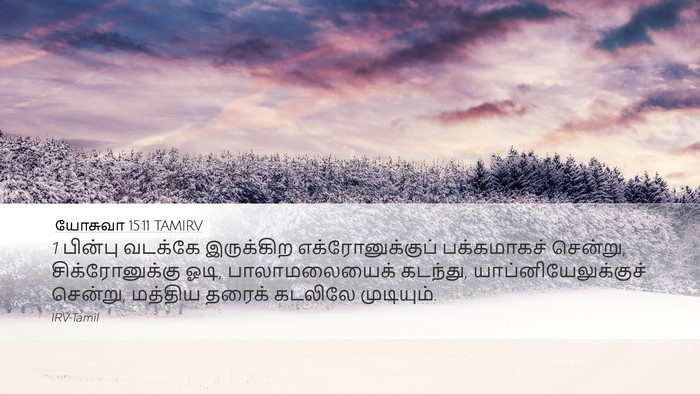 யோசுவா 15:11 TAMIRV Bible Verse Image
