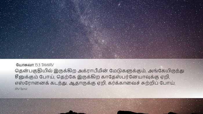 யோசுவா 15:3 TAMIRV Bible Verse Image