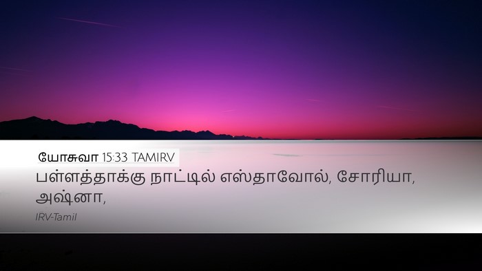 யோசுவா 15:33 TAMIRV Bible Verse Image
