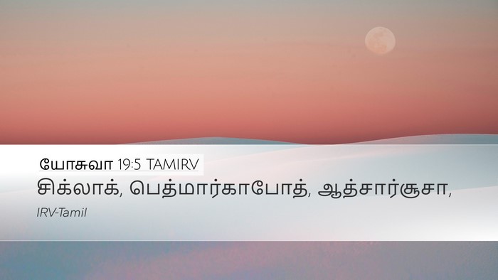 யோசுவா 19:5 TAMIRV Desktop Wallpaper - சிக்லாக், - Desktop Bible Verse Wallpaper
