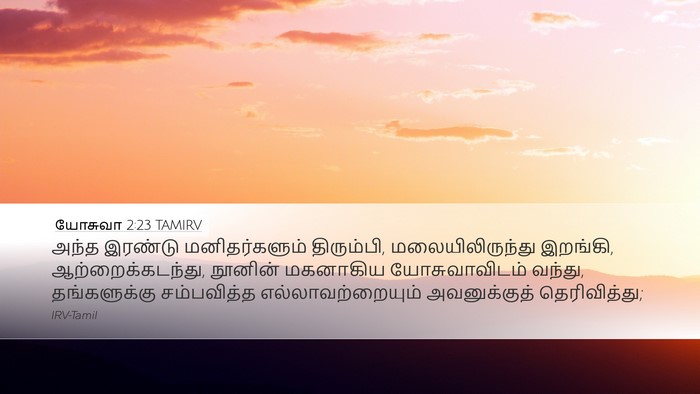 யோசுவா 2:23 TAMIRV Bible Verse Image