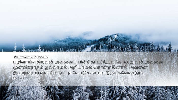 யோசுவா 20:5 TAMIRV Bible Verse Image