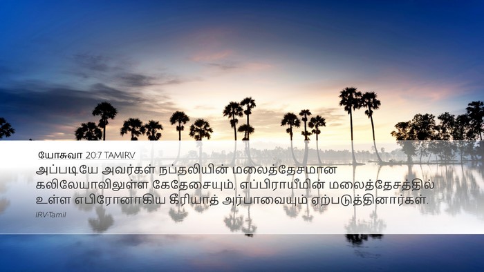 யோசுவா 20:7 TAMIRV Bible Verse Image