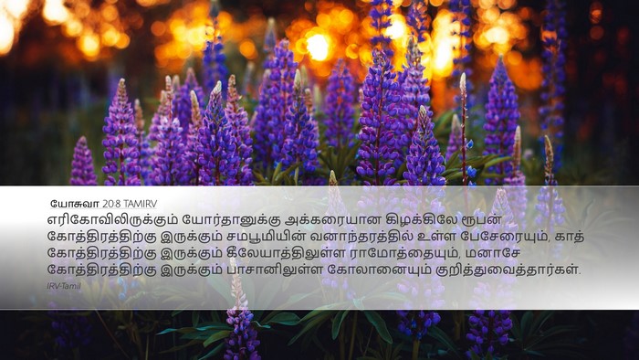 யோசுவா 20:8 TAMIRV Bible Verse Image