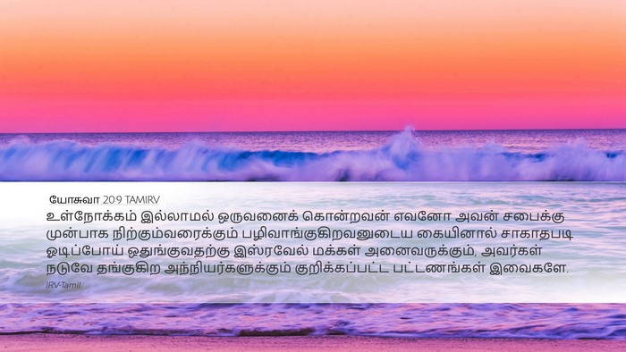 யோசுவா 20:9 TAMIRV Bible Verse Image