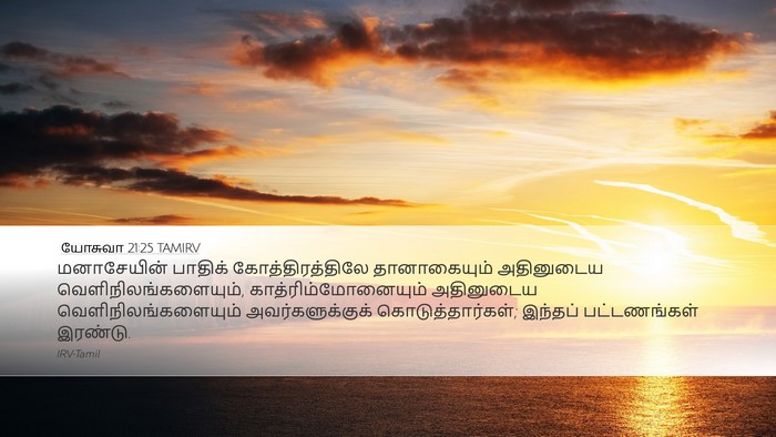 யோசுவா 21:25 TAMIRV Desktop Wallpaper - மனாசேயின் பாதிக் - Desktop Bible Verse Wallpaper