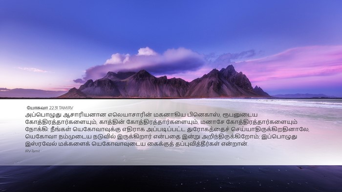 யோசுவா 22:31 TAMIRV Desktop Wallpaper - அப்பொழுது - Desktop Bible Verse Wallpaper
