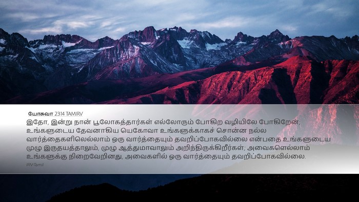 யோசுவா 23:14 TAMIRV Bible Verse Image