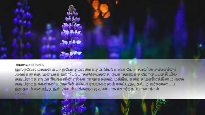யோசுவா 5:1 TAMIRV Bible Verse Image