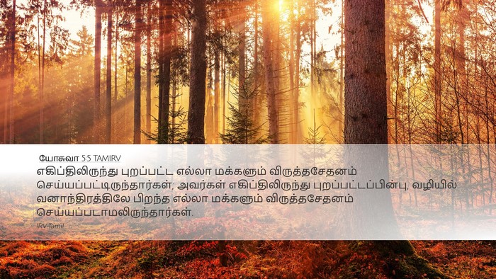 யோசுவா 5:5 TAMIRV Desktop Wallpaper - எகிப்திலிருந்து - Desktop Bible Verse Wallpaper