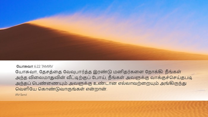 யோசுவா 6:22 TAMIRV Bible Verse Image