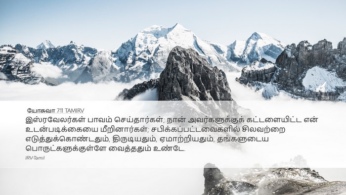 யோசுவா 7:11 TAMIRV Bible Verse Image