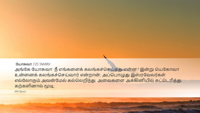 யோசுவா 7:25 TAMIRV Bible Verse Image