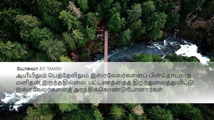 யோசுவா 8:17 TAMIRV Bible Verse Image