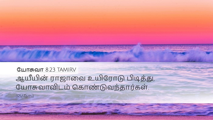யோசுவா 8:23 TAMIRV Desktop Wallpaper - ஆயீயின் ராஜாவை - Desktop Bible Verse Wallpaper