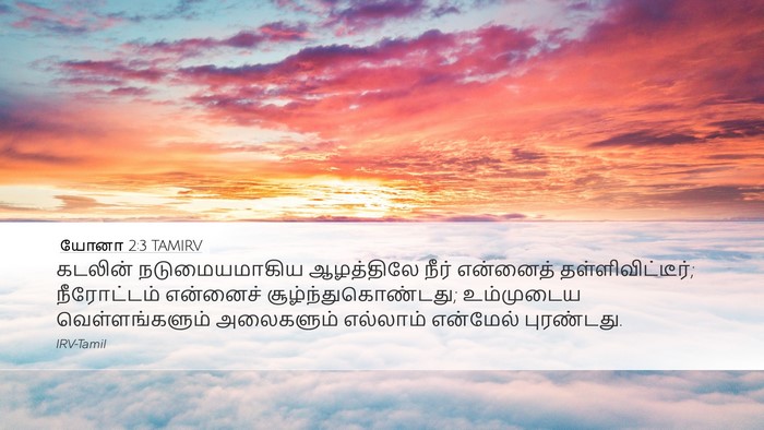 யோனா 2:3 TAMIRV Bible Verse Image