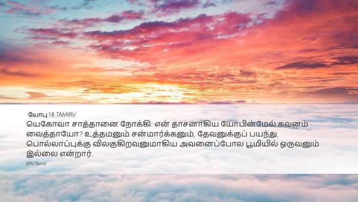 யோபு 1:8 TAMIRV Bible Verse Image