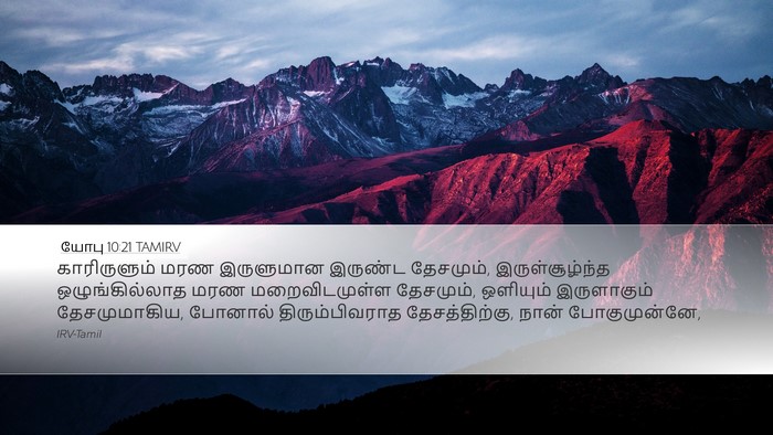 யோபு 10:21 TAMIRV Bible Verse Image