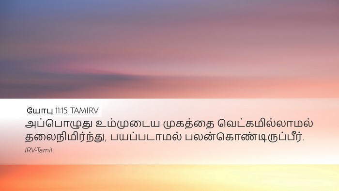 யோபு 11:15 TAMIRV Desktop Wallpaper - அப்பொழுது - Desktop Bible Verse Wallpaper
